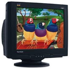 viewsonic 19 widescreen lcd