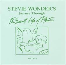 Stevie Wonder - Journey Through The Secret Life Of Plants (disc 2)