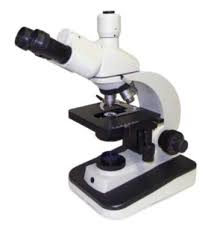 the microscope