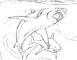 coloring books animals