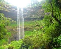 mata atlântica