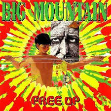 Big Mountain - Free Up