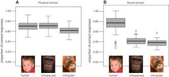social cognition