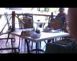 cuba birds