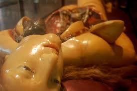 model wax