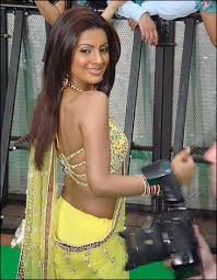 dress sari