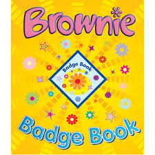 badges book