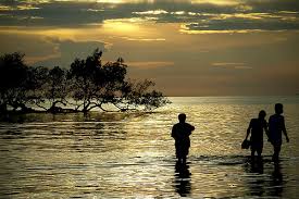 wade in the water