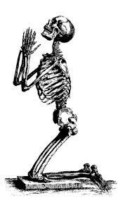 skeleton images