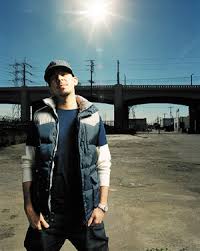 mike shinoda