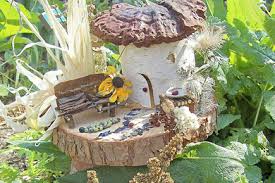 enchanted fairy pictures