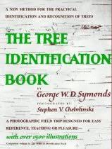 tree identifaction