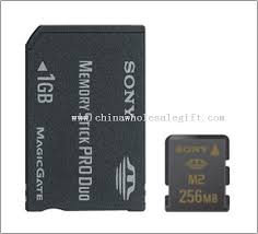 memory card 1 gig