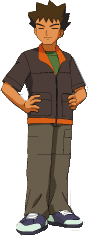 brock pokemon
