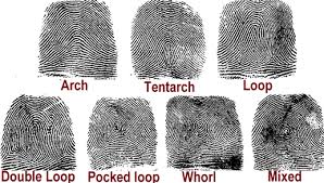 types fingerprints