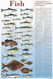 bass fishing posters