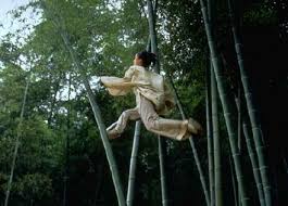 crouching tiger
