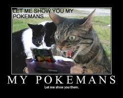 funny pokemon