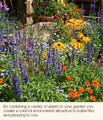 butterfly gardening