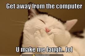 دردشة وفرفشة Laughing-cat