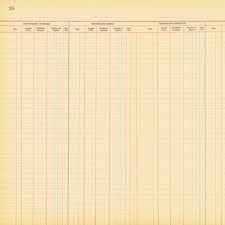 accounting ledger