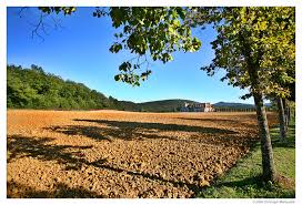 beautiful landscapes