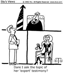 expert witnesses