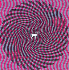 deerhunter cryptograms