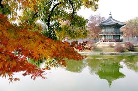 south korea culture