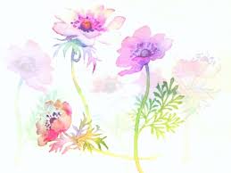 watercolor paintings flowers
