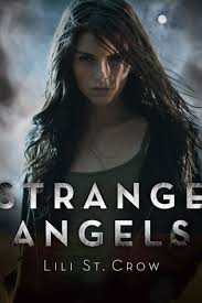 angel the book