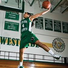 skylar diggins