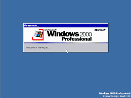 windows professional 2000