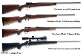 hunting gun