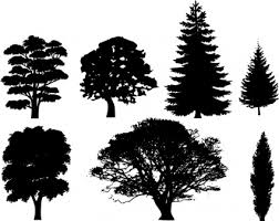 pine tree clip