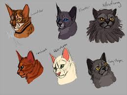 warriors cat series