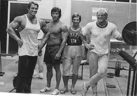 gold gym apparel