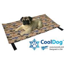 cool dog mat
