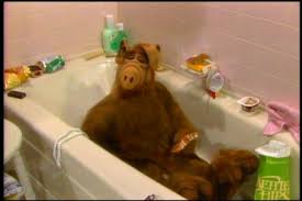 alf season