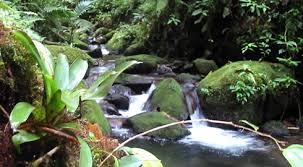 areas naturales protegidas en mexico