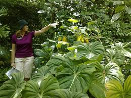 people and plants