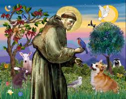 saint francis
