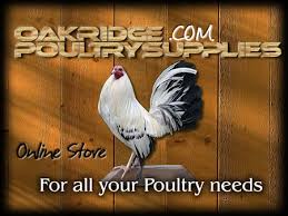 poultry supply's