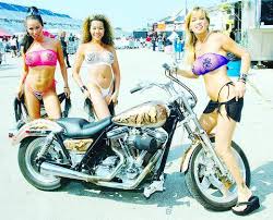 harley fxr