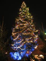 photos sapin noel