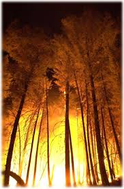 i am fire