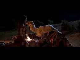 kelly hu in scorpion king