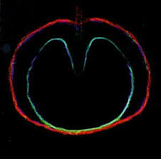 Xtc - The Wheel & The Maypole