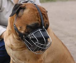dog basket muzzles