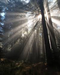 personal holiness